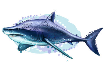 A color image of a shark in watercolor style on a white background.
