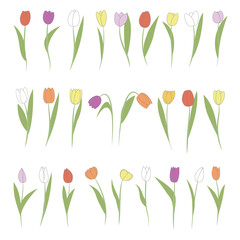 Tulips set flat