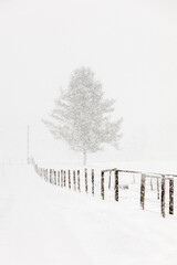Snowing in January, in rural farm country, Mohawk Valley, New York State, USA.
