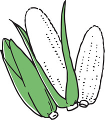 とうもろこし単色