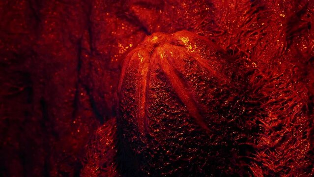 Alien Egg Is Lit Up With Fire