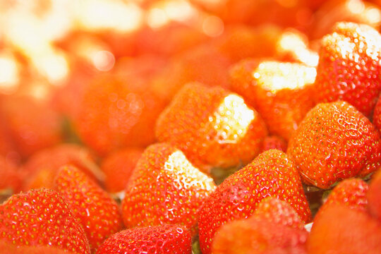 Fresh strawberries in spring.