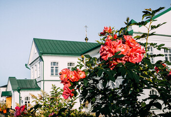house with flowers