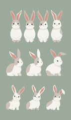 Rabbits in variety pose vector on transparent background, isolated elements