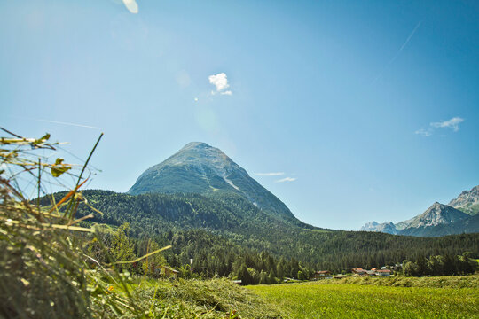Mountain landscape in summer with green fields and trees.