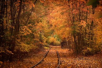 Bahnstrecke durch den Herbstwald