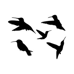 Flat vector hummingbird icon symbol. graphic design elements. Vector illustration. Hummingbird vector icon on white background. Flying hummingbird icon silhouette art illustration. You can use the we