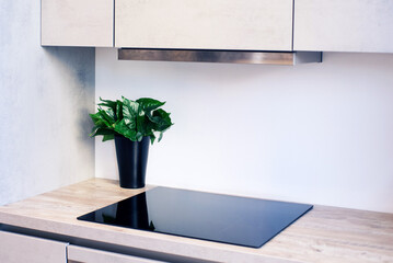 Part of a kitchen interior with a built-in induction hob
