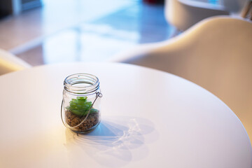 Glass jar with green succulent on a round table, soft selective focus. Home decor
