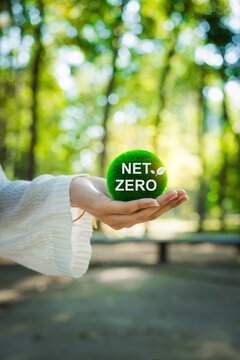 sustainable living with a hand holding a green ball, reflecting environmental, social, and governance (ESG) values, promoting the net zero concept for a greener future.