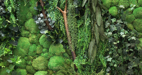 Decorative green moss and plants used as decoration of modern rooms, the texture of deer moss.