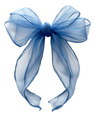 One organza bow in sheer light blue 