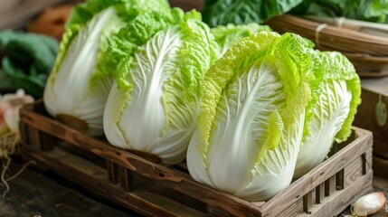 Fresh Chinese cabbage, with crisp leaves and a pale shade of green. They are neatly arranged on a clean white background. This eye-catching composition emphasizes the natural beauty of the vegetable.