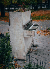 Old white piano in the park
Vintage piano
