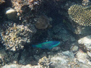 Unter Wasser