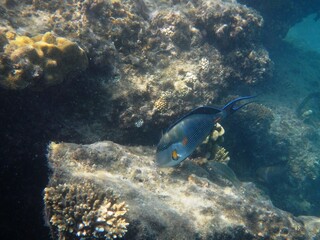 Unter Wasser