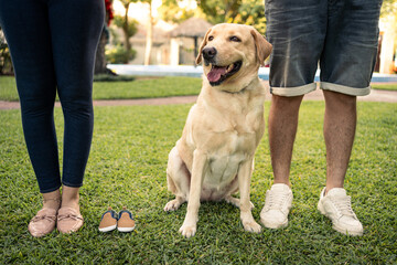 family showing unborn baby shoes next to a labrador