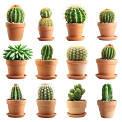 Fotobehang Cactus in pot Potted Cactus Set Isolated on Transparent or White Background, PNG