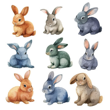 Easter Bunnies in Watercolor Isolated on Transparent or White Background, PNG