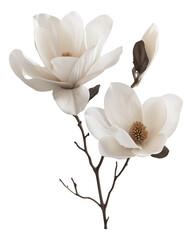 Surrealistic portrayals of magnolias in an imaginative way