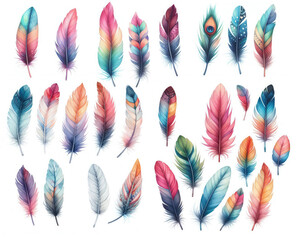 Vibrant Plumage: Watercolor Feathers on a White Background