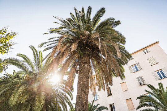 Mediterranean urban landscapes in summer. Corsica, France