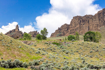 Fototapeta na wymiar Mountain, hill prairie summer landscape with blue sky in the northwest wilderness of Wyoming, USA.