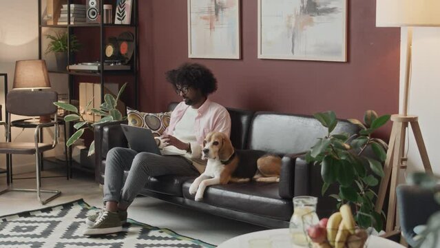Full shot of young Biracial guy sitting on black leather sofa with dog and typing on laptop while working on freelance in stylish apartment