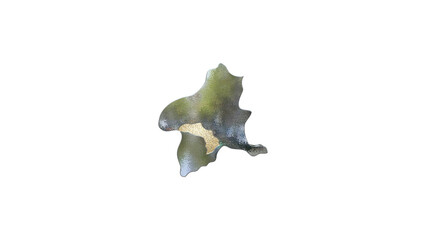 Fototapeta premium [アルファチャンネル]高崎の地形を強調する群馬県の3D透視投影図形