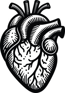Human heart   hand-drawn line art and dot work. Flash tattoo or print design vector illustration.