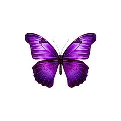 Obraz premium violet Butterfly isolated on transparent background 