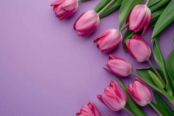 Obraz premium beautiful Tulips on lavender background, wedding background, women day background, mother day background