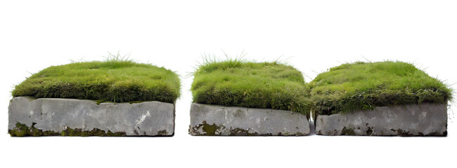 Flat stone blocks covered with grass and moss.