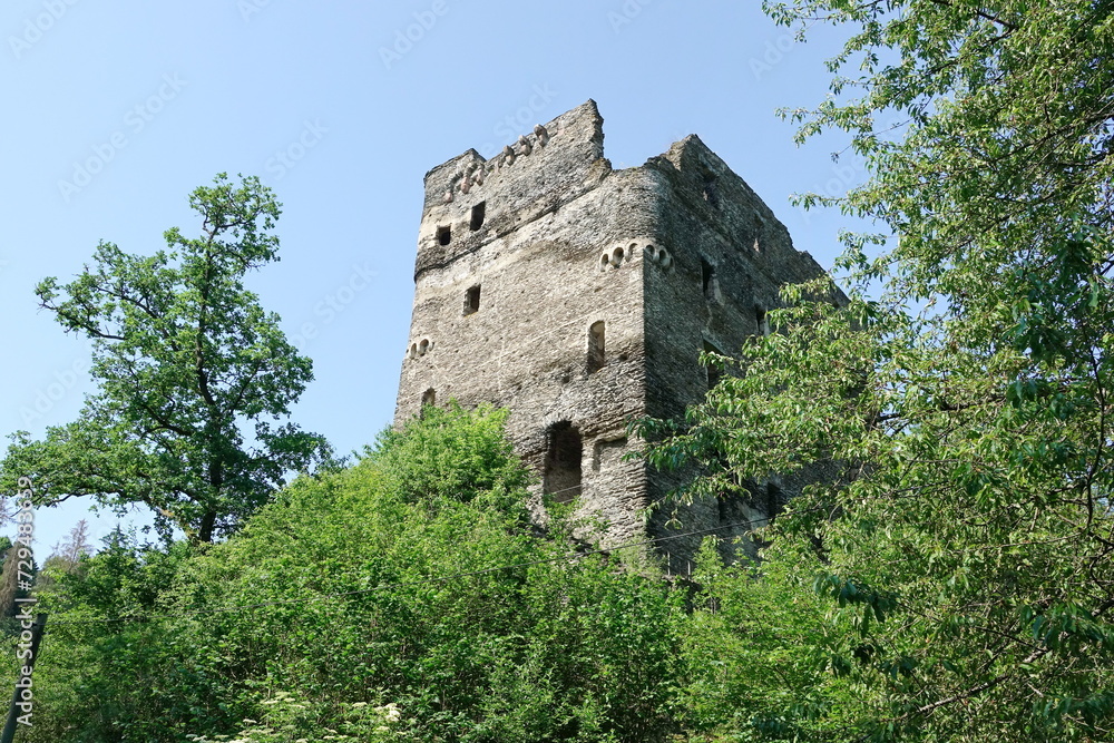 Wall mural Ruine Balduinseck im Hunsrueck