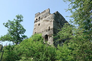Fototapeta na wymiar Ruine Balduinseck im Hunsrueck