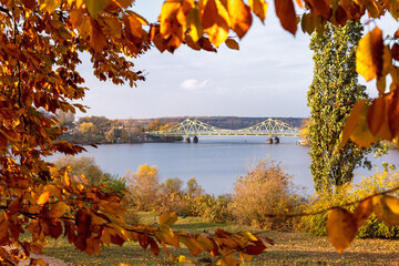Glienicker Brücke umrahmt von Herbstlaub