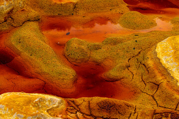 Yellow Mineral Concretions in Rio Tinto's Red Waters
