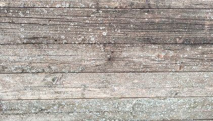 Old wood texture background. Floor surface, old wood planks