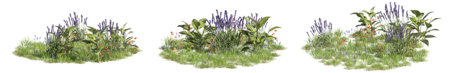 set of ground covers, cutout 3d rendering with a transparent background
