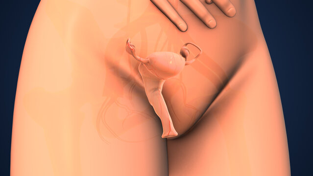Female menstrual cramps and agony medical animation