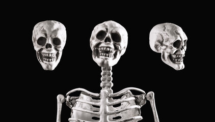 Skull and skeleton, bones set isolated on black background