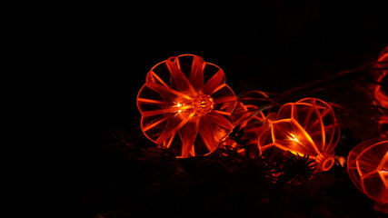 Twinkling Festivities: A Spectacular Display of LED, Christmas, Diwali, and Decorative Lights Illuminating the Joy of Celebration