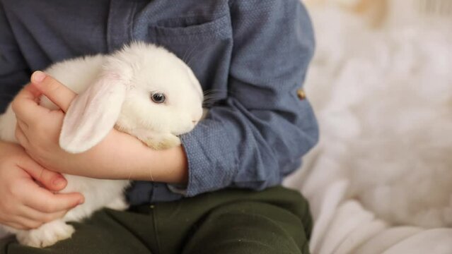 White Easter rabbit sits on the hands of a little boy, who huggs the rabbit