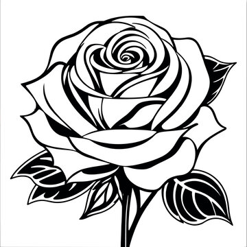 Rose flower coloring book pages for children and adults