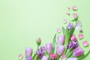 spring flowers on green paper background