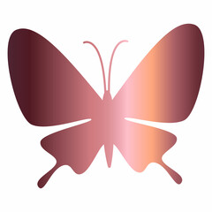 Butterfly gradient decoration and design.