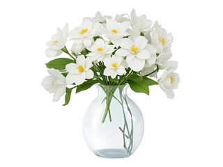 Fototapeta na wymiar vase filled with lovely white flowers, isolated cutout object with shadow on transparent background in a png file..
