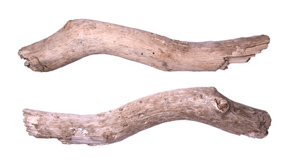 Dry Broken Fragments of Branches, Without Bark and Leaves. Bleached Weathered Tree Limbs. Two...