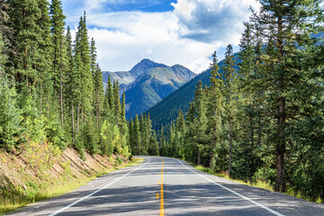 Colorado asphalt highway through the Rocky Mountain and pine forest, USA