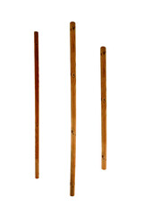 Wooden poles support the tree on isolated transparent background